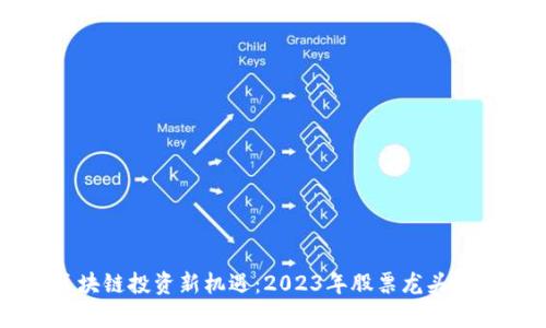 区块链投资新机遇：2023年股票龙头分析