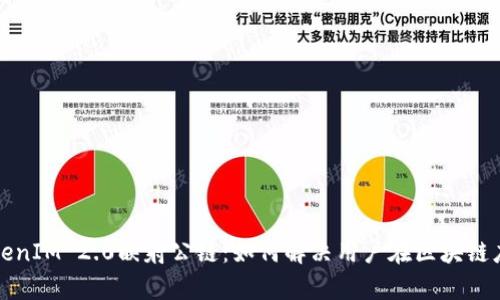 全面解析TokenIM 2.0映射公链：如何解决用户在区块链应用中的痛点