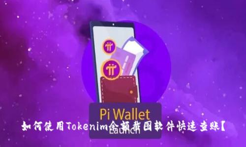 如何使用Tokenim余额截图软件快速查账？