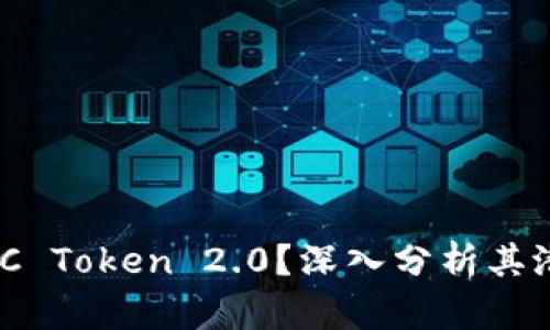 什么是MCC Token 2.0？深入分析其潜力与应用