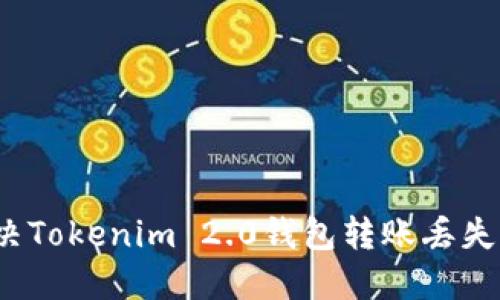 如何解决Tokenim 2.0钱包转账丢失的问题？