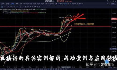 区块链的具体实例解析：成功案例与应用领域
