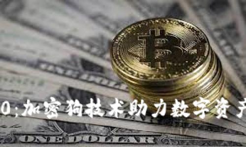 Tokenim 2.0：加密狗技术助力数字资产安全与管理