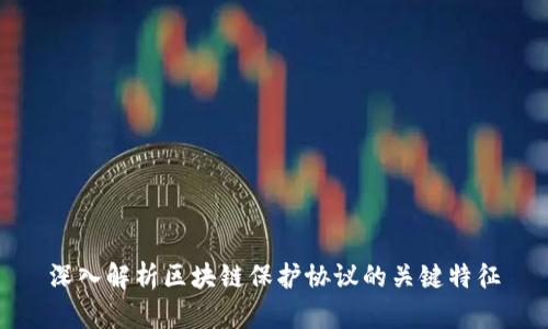 深入解析区块链保护协议的关键特征