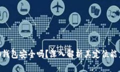 Tokenim 2.0钱包安全吗？深入解析其定位能力与隐私
