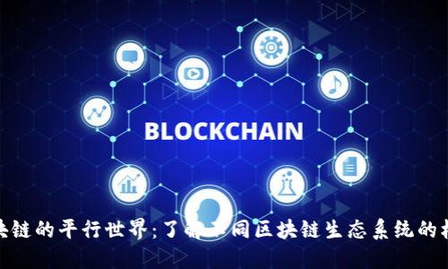 探索区块链的平行世界：了解不同区块链生态系统的核心特征