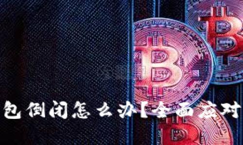 Tokenim 2.0钱包倒闭怎么办？全面应对策略与资源指南