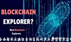 全面解析区块链查询系统的五大类型及其应用