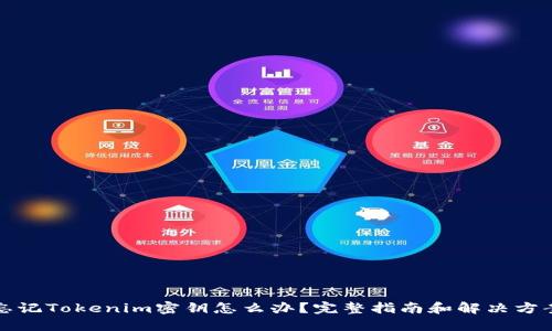 忘记Tokenim密钥怎么办？完整指南和解决方案