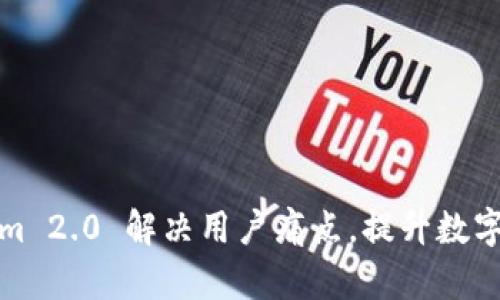 如何利用Tokenim 2.0 解决用户痛点，提升数字资产的管理效率