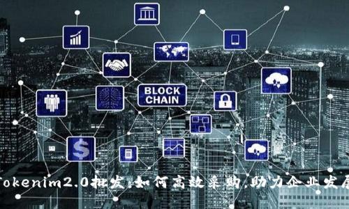 Tokenim2.0批发：如何高效采购，助力企业发展