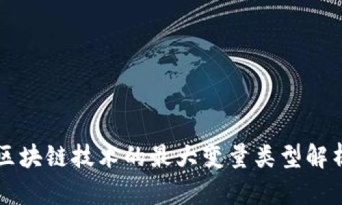 区块链技术的最大变量类型解析
