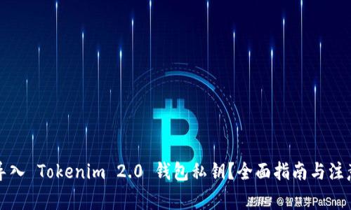 如何导入 Tokenim 2.0 钱包私钥？全面指南与注意事项