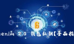 如何导入 Tokenim 2.0 钱包私钥？全面指南与注意事