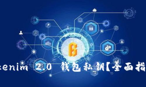 如何导入 Tokenim 2.0 钱包私钥？全面指南与注意事项