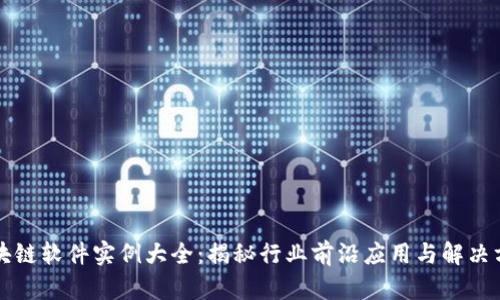 区块链软件实例大全：揭秘行业前沿应用与解决方案