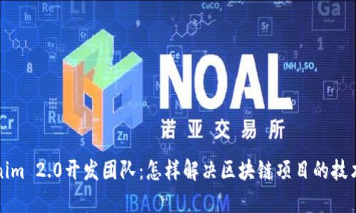 Tokenim 2.0开发团队:怎样解决区块链项目的技术痛点