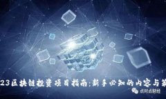 2023区块链投资项目指南：新手必知的内容与策略