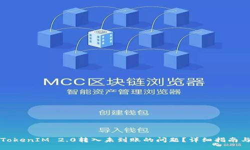 如何解决TokenIM 2.0转入未到账的问题？详细指南与解决方案