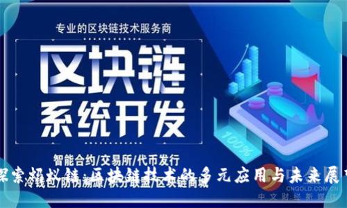 探索蚂蚁链：区块链技术的多元应用与未来展望