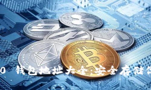 Tokenim 2.0 钱包地址大全：安全存储你的数字资产
