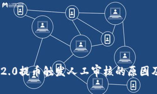 Tokenim 2.0提币触发人工审核的原因及解决方法