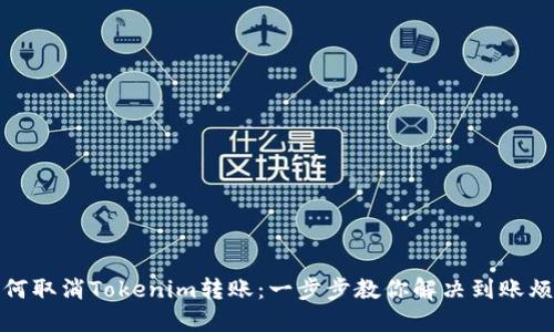 如何取消Tokenim转账：一步步教你解决到账烦恼
