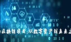2022年最火的区块链项目：从数字资产到未来应用