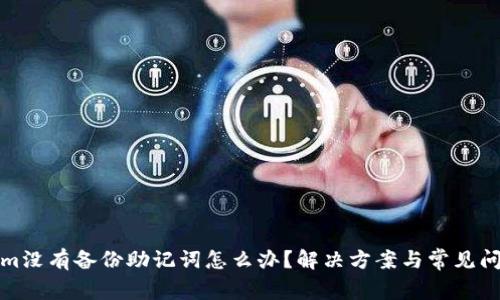 Tokenim没有备份助记词怎么办？解决方案与常见问题详解