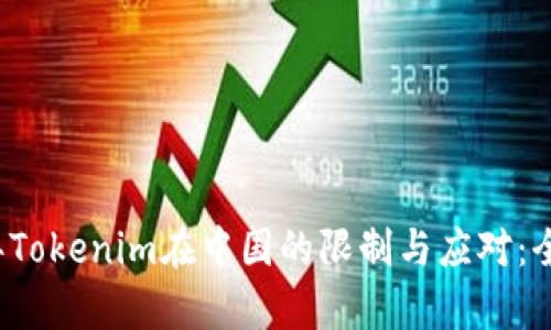 2023年Tokenim在中国的限制与应对：全面分析