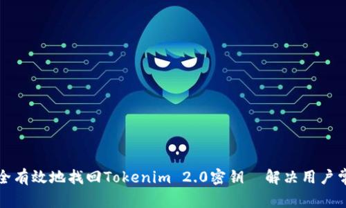 如何安全有效地找回Tokenim 2.0密钥—解决用户常见痛点