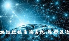 全面解析区块链数据查询系统：选择最适合你的