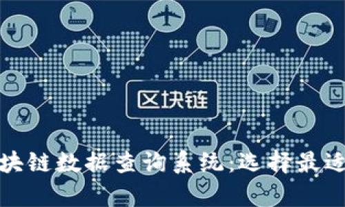 全面解析区块链数据查询系统：选择最适合你的工具