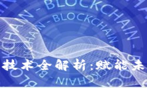 魅视科技的区块链技术全解析：赋能未来的数字资产管理