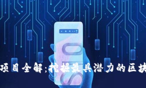 区块链链上项目全解：挖掘最具潜力的区块链应用实例