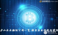 庐山区区块链公司一览：探索未来科技的前沿