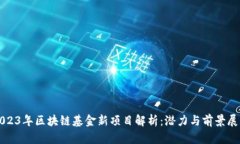 2023年区块链基金新项目解析：潜力与前景展望