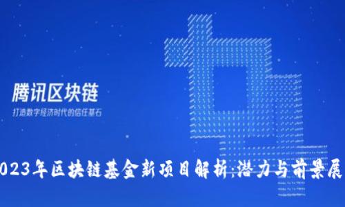2023年区块链基金新项目解析：潜力与前景展望