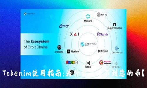 Tokenim使用指南：为什么您看不到您的币？