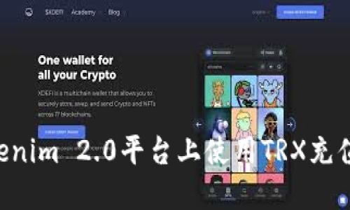 如何在Tokenim 2.0平台上使用TRX充值：详细指南