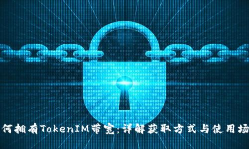 如何拥有TokenIM带宽：详解获取方式与使用场景