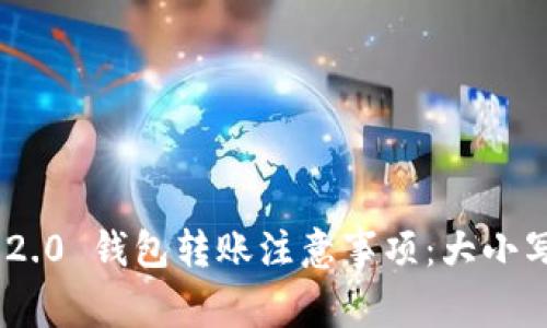 Tokenim 2.0 钱包转账注意事项：大小写问题解析