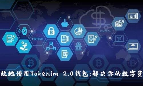 如何安全高效地借用Tokenim 2.0钱包：解决你的数字资产管理痛点