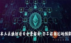 成都本土区块链项目全景解析：你不能错过的创