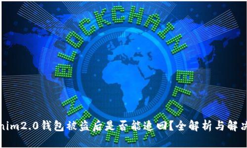 Tokenim2.0钱包被盗后是否能追回？全解析与解决方案