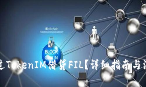 如何通过TokenIM借贷FIL？详细指南与注意事项