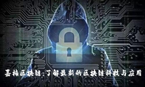 嘉楠区块链：了解最新的区块链科技与应用
