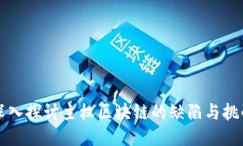 深入探讨主权区块链的缺陷与挑战