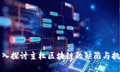 深入探讨主权区块链的缺陷与挑战