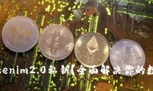 如何找回tokenim2.0私钥？全面解决你的数字资产困扰